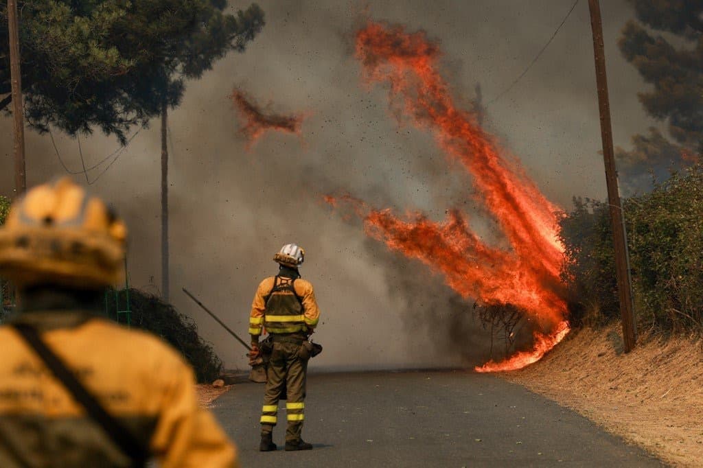 Wildfire claims life and property in Türkiye ahead of COP31